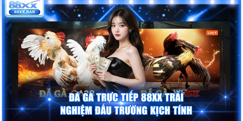 Đá gà trực tiếp 88XX